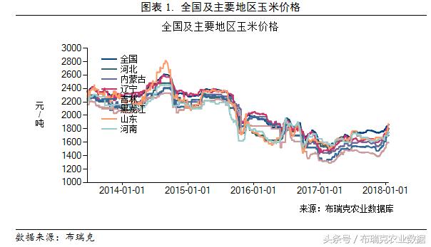 石家庄玉米最新价格动态解析