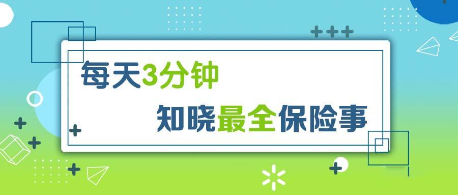 保险行业最新动态，变革、展望与未来趋势