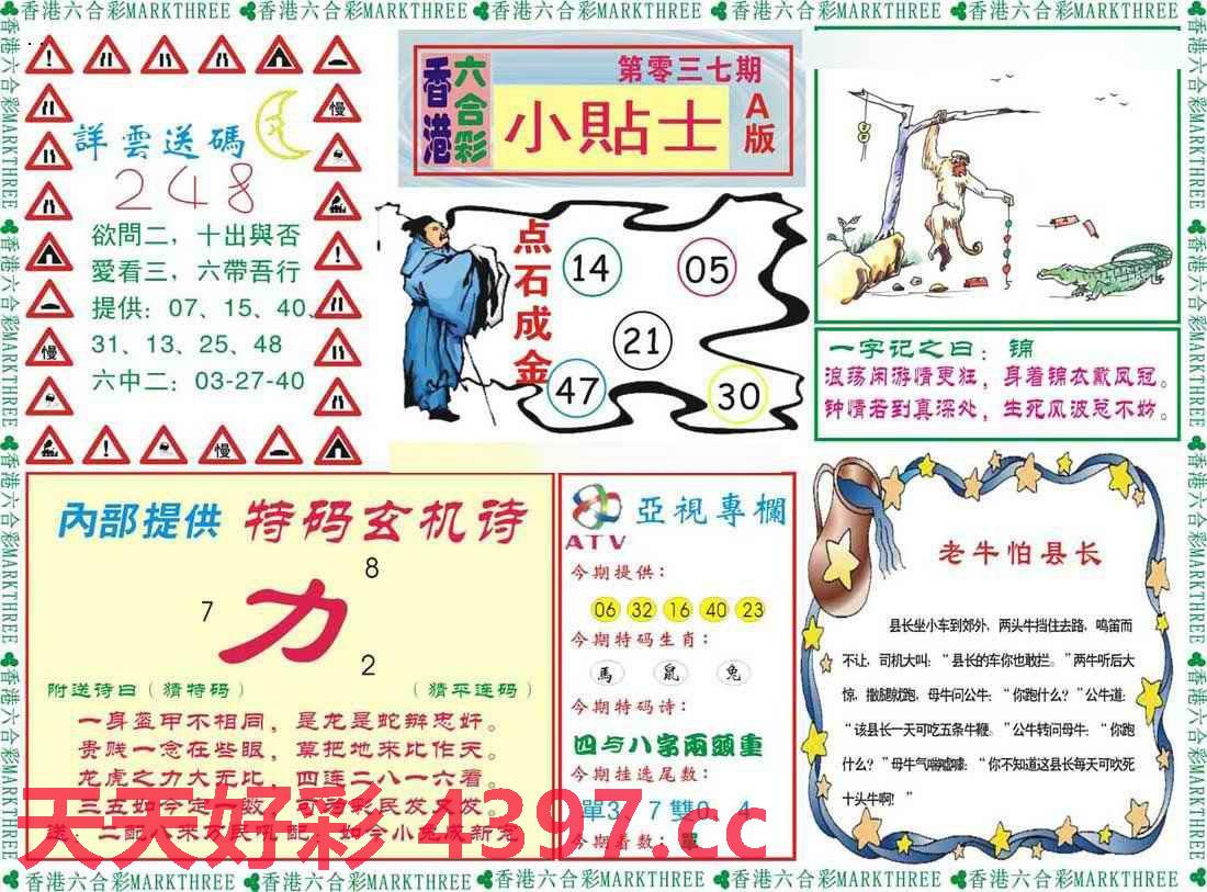 二四六246天天彩资料,效率资料解释落实_体验版19.834