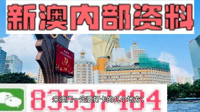 新澳门2024年正版免费公开,动态词语解释落实_经典款13.702