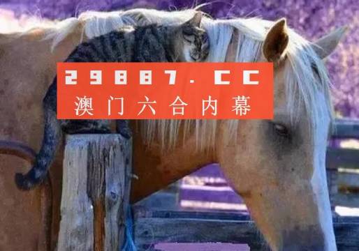 4949澳门特马今晚开奖53期,资源整合策略实施_限量款11.888