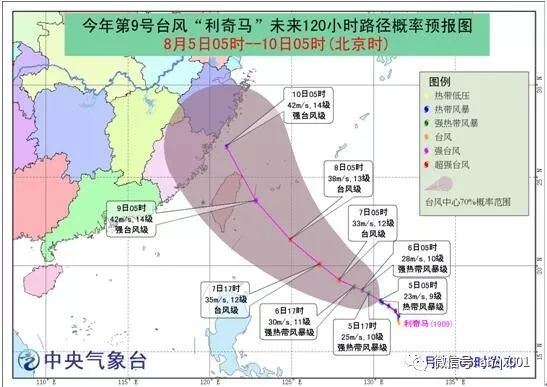 台风最新动态，九号台风路径更新及影响分析