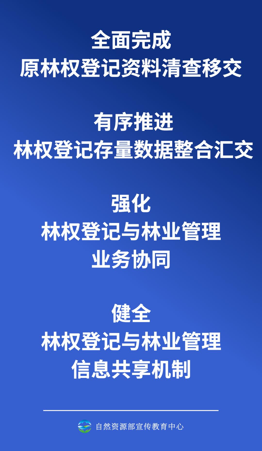 2024年12月5日 第31页