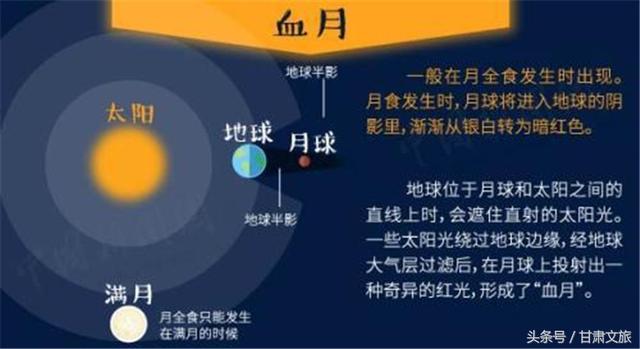 2024年澳门今晚开奖结果查询,实地方案验证_2DM21.546