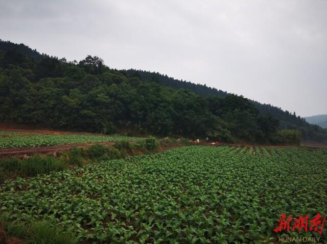 库区移民最新政策补贴，护航移民生活新篇章