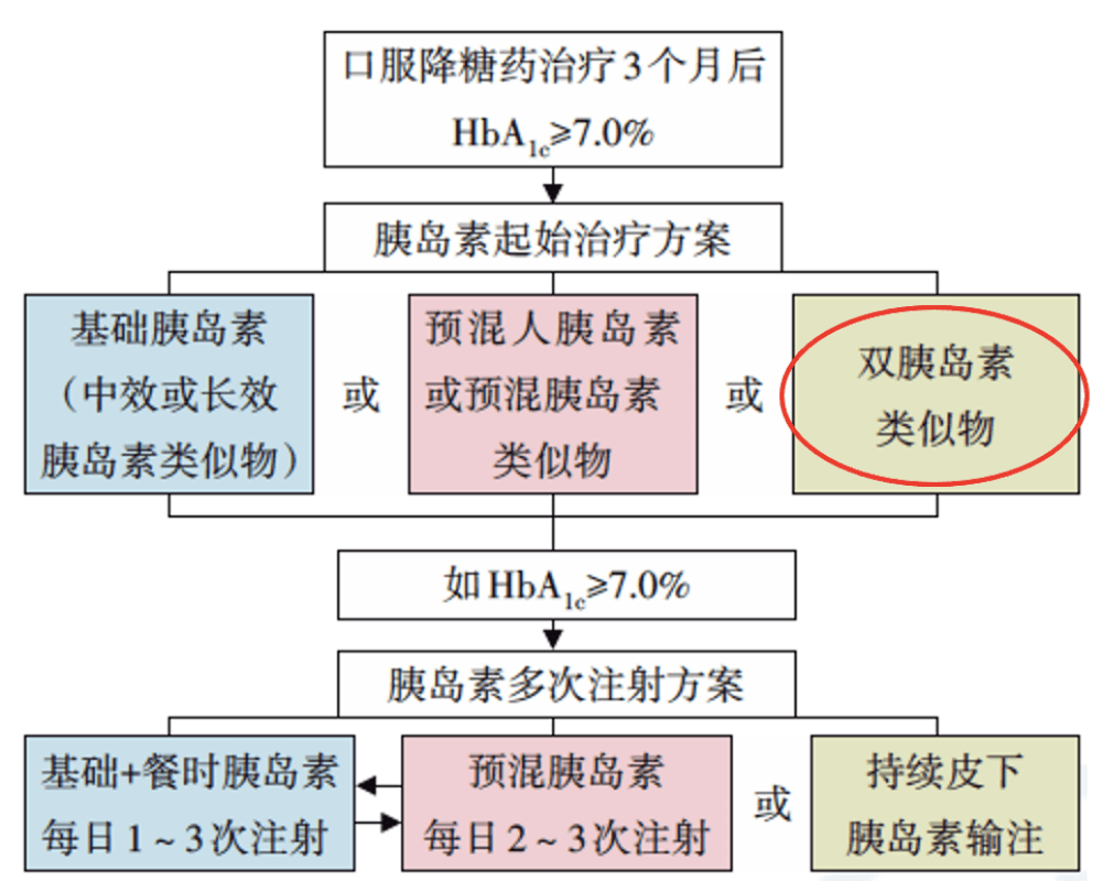 2024新澳门今晚开特马开什么号｜全面解读说明