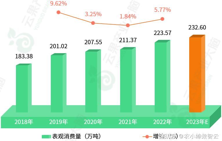 2024澳门必中一肖｜全面数据应用分析