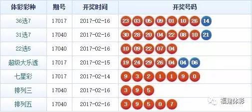 2024年12月16日 第31页