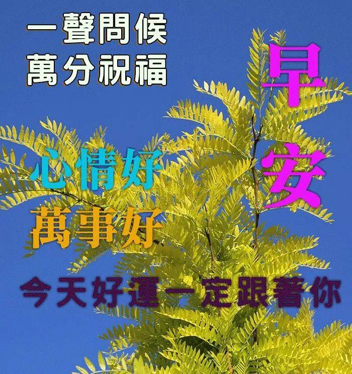 每日清晨的美好问候与最新图片中的希望之光