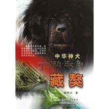 唐秀华藏獒最新图片，展现獒界瑰宝的独特魅力