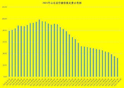 青州市生猪最新价格动态解析