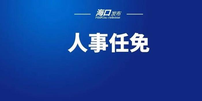 海口市最新人事任免动态概览