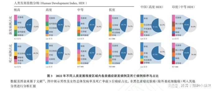 2022年痫病最新治疗方法进展报告揭秘