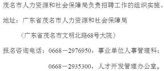 电白区水东最新招聘动态与就业市场分析概览