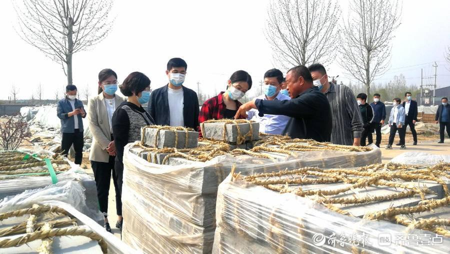 丁马生物最新动态，引领生物科技新纪元革新发展之路