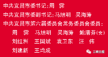 宜昌市委常委最新名单概述