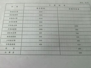 事业编工资最新动态，调整与改革概览