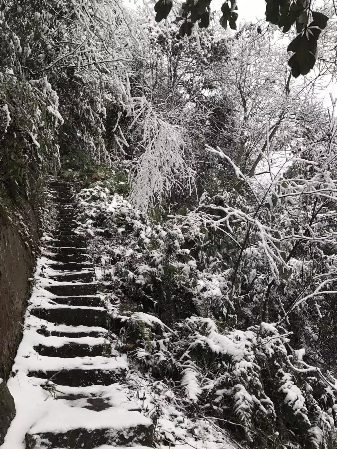 数字时代福利大揭秘，高清免费资源探索无尽可能的魅力