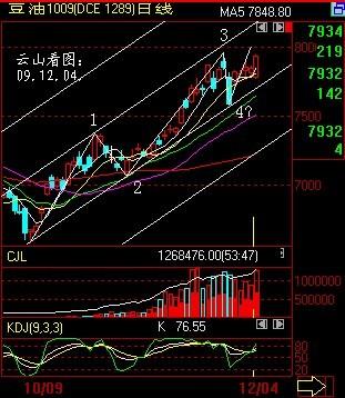 黄豆期货行情最新解析