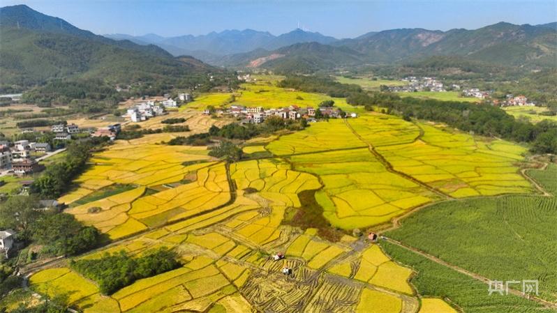 龙南最新航拍，揭示土地全新面貌