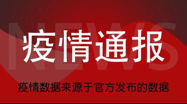 最新疫情消息官方报告深度解读与分析